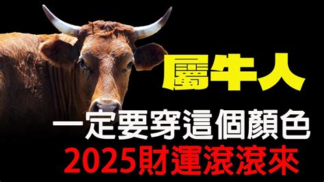 1985屬牛幸運色|屬牛1985終身幸運數字及幸運顏色